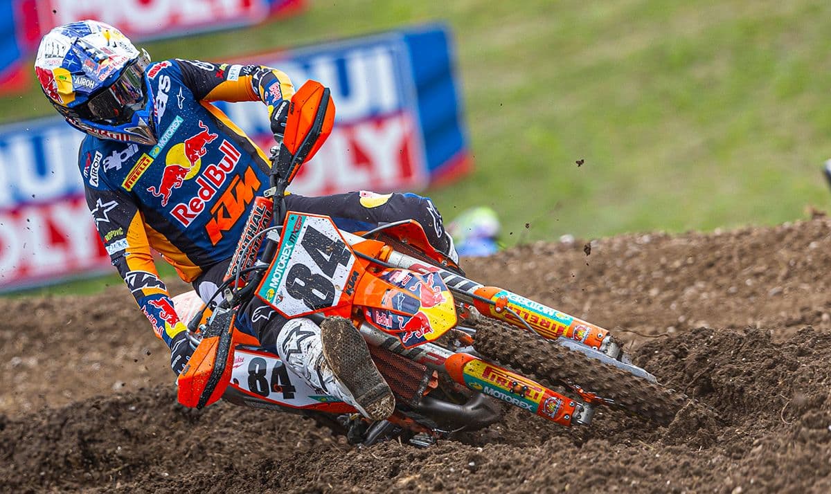 Herlings in For Lommel