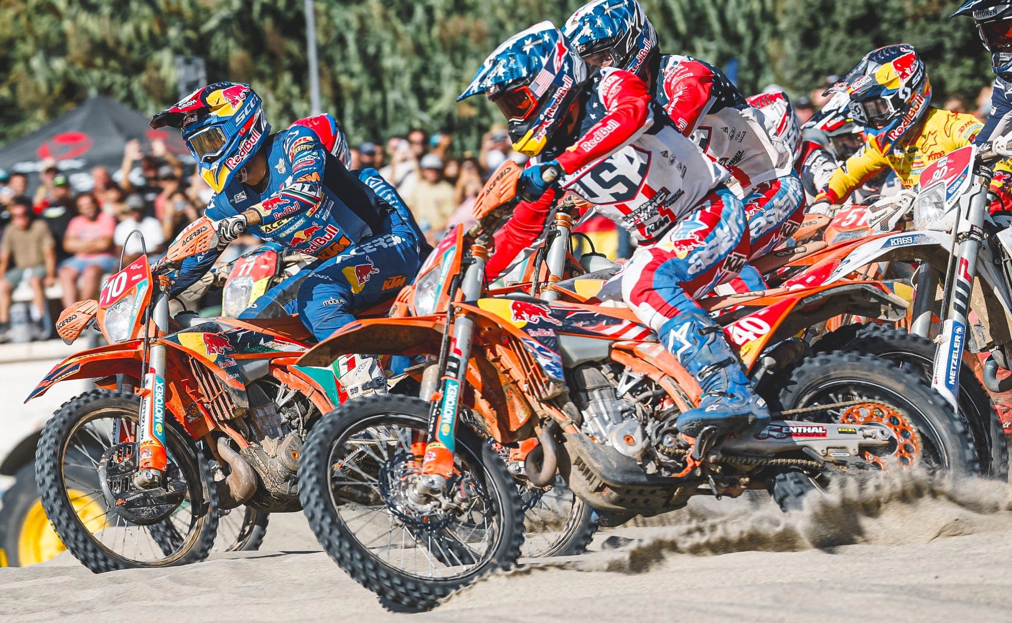 Verona - King of ISDE