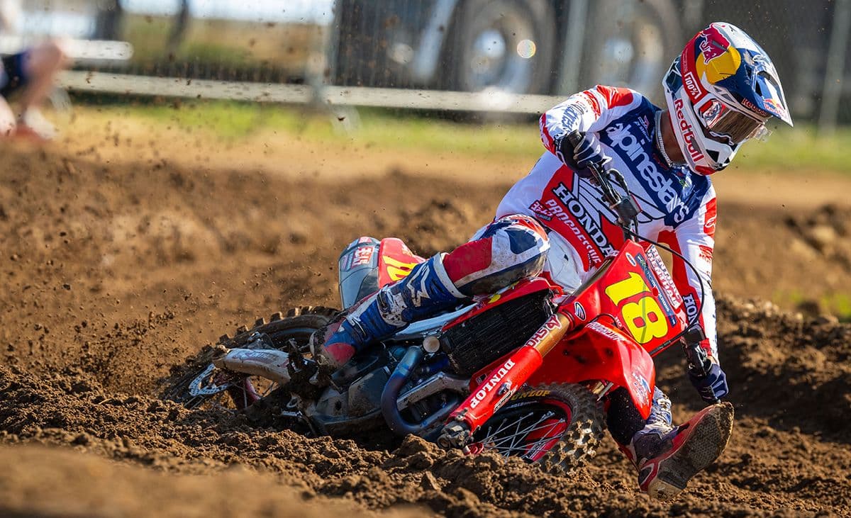 Jett and Hunter - Redbud