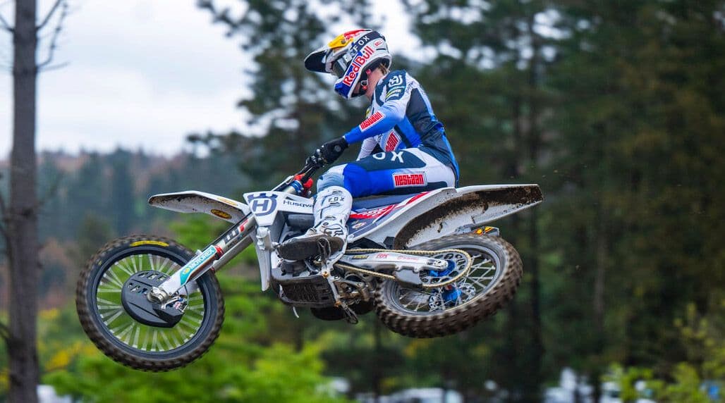 Wolf winner Casino Dashboard and Game Lobby