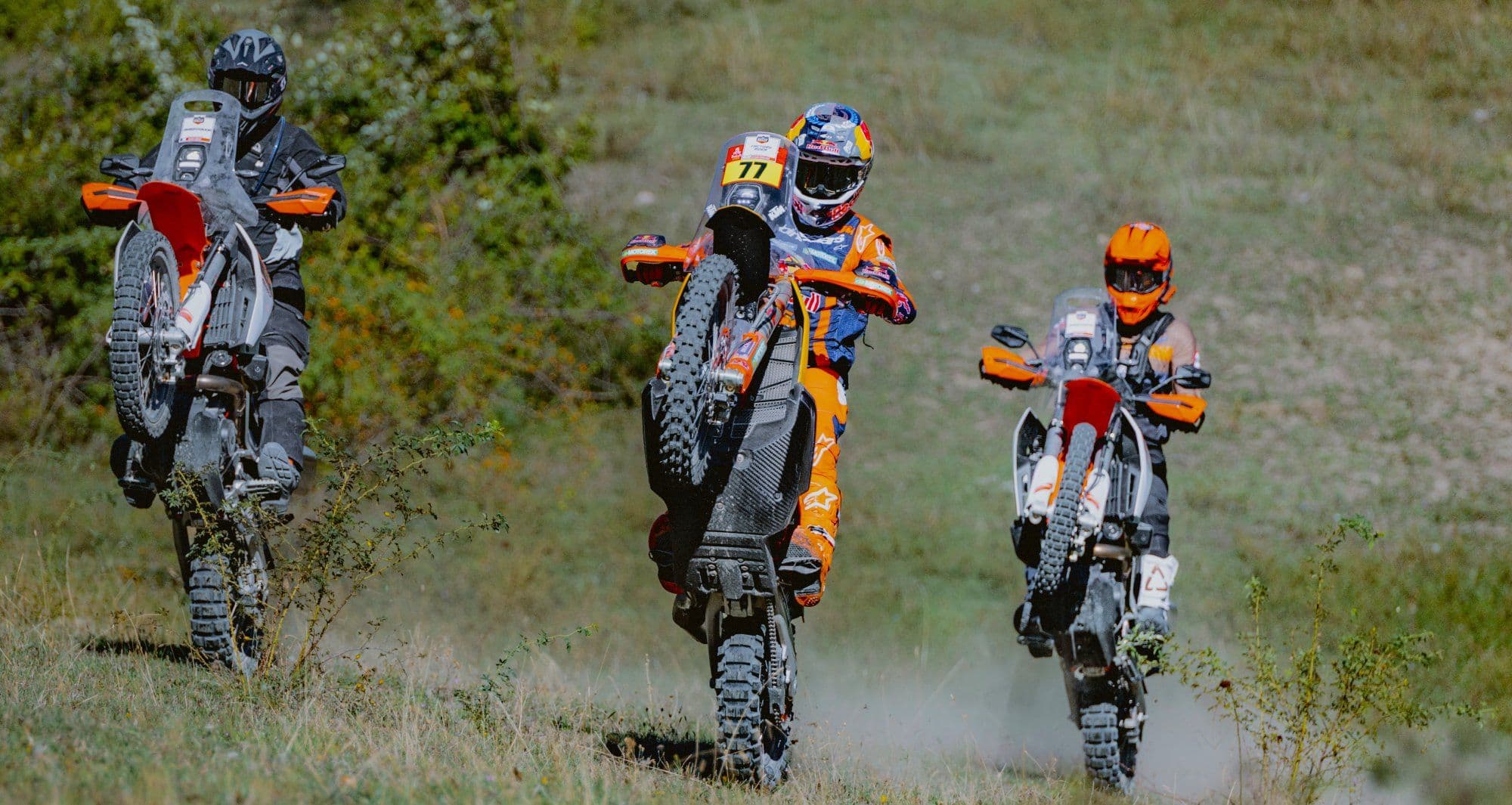 KTM - Adventure Rally image