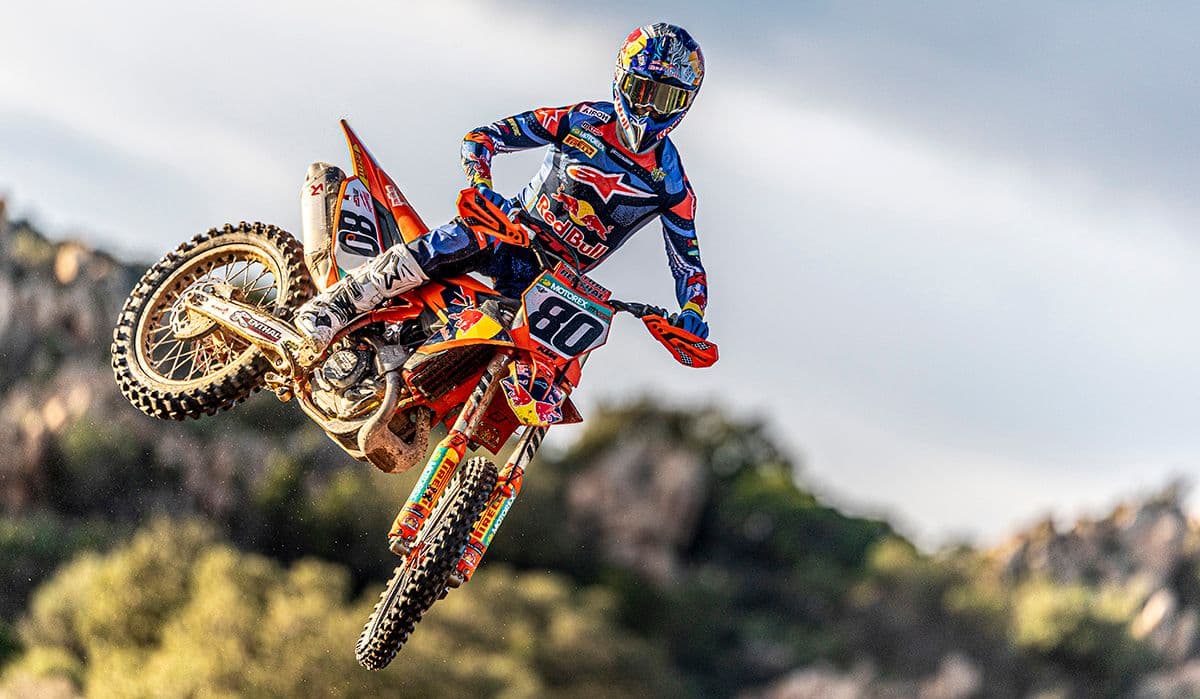 Andrea Adamo - Gallery