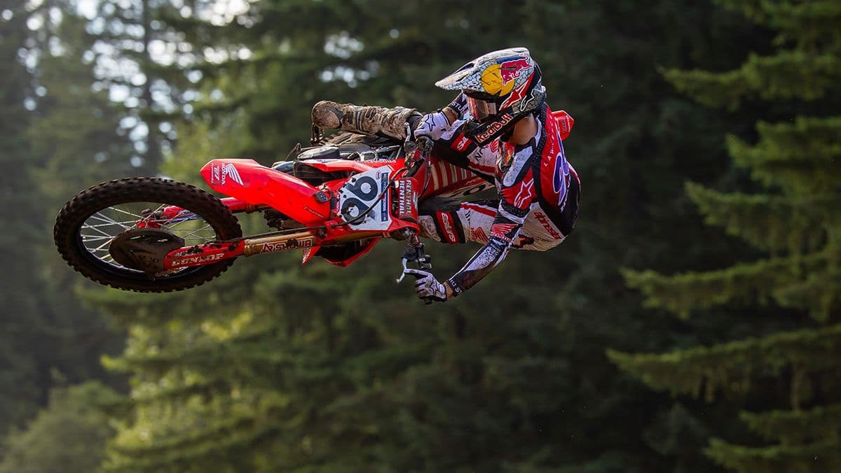 Hunter Lawrence - The Gallery