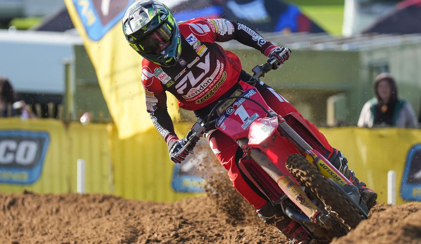 Mewse Quickest Early