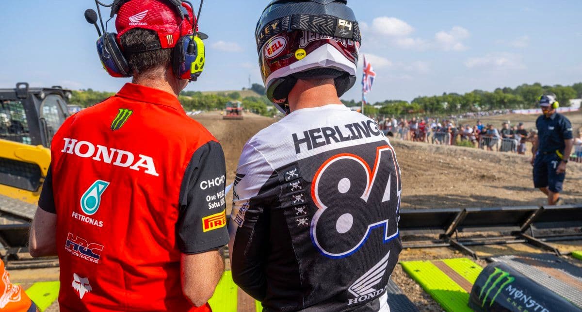 Herlings - Behind The Scenes