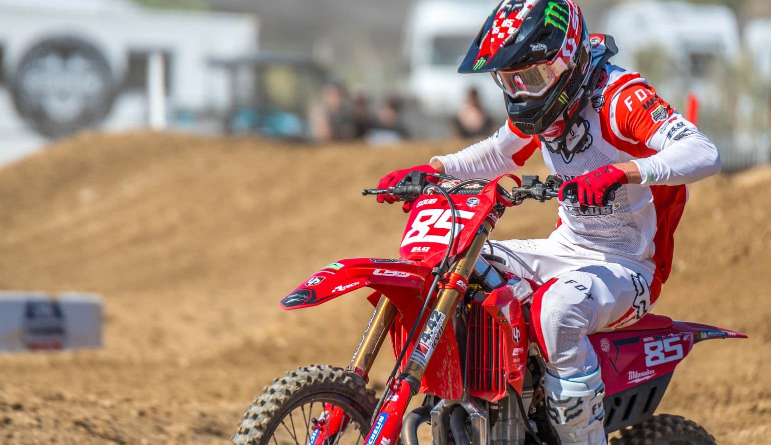 Cedric Soubeyras Interview - OZ image