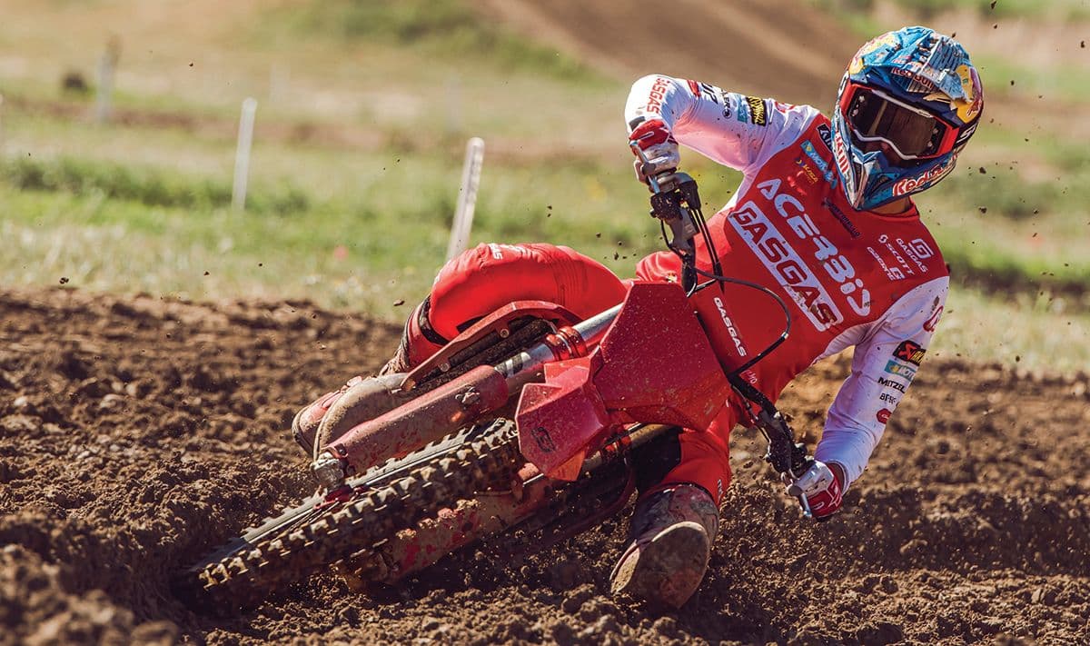 Verona On A Rollercoaster