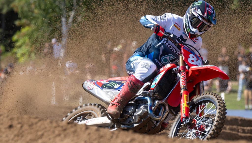 Lommel Highlights image
