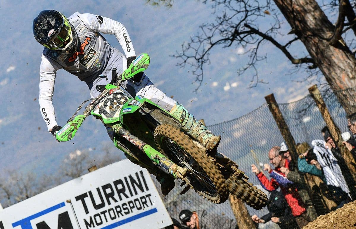 Monticelli Quickest Wild Card