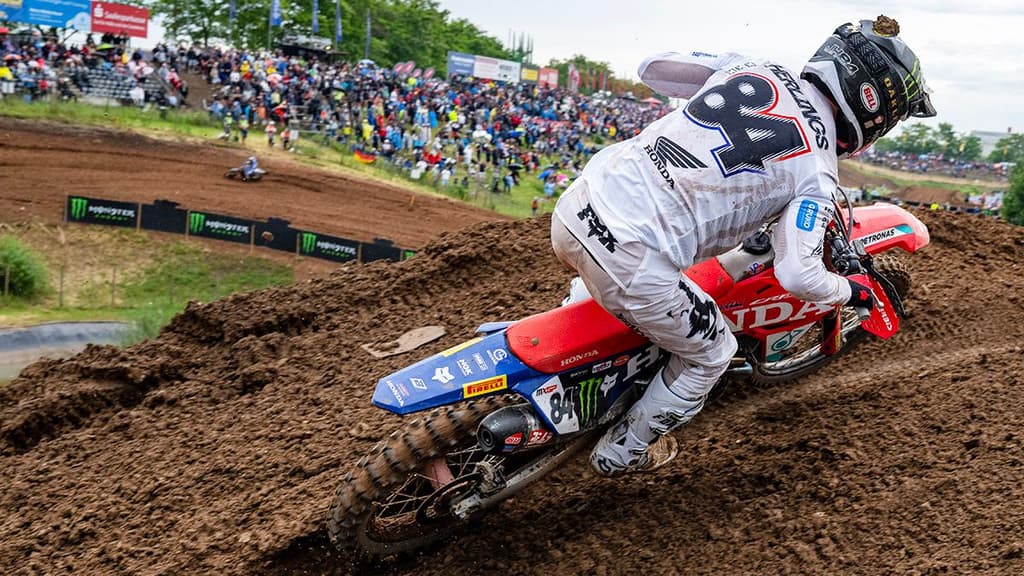 Herlings in For Monster Mountain image