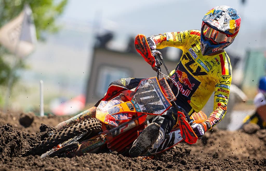 The Coenen Brothers - USA image
