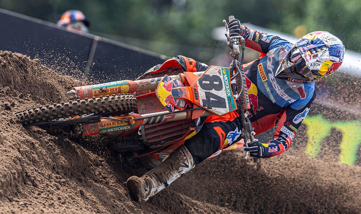 Herlings On Pole - Arnhem