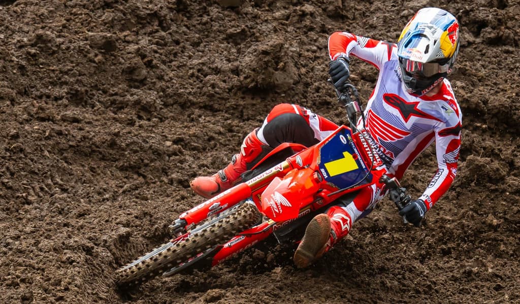 Unadilla - Full Report image