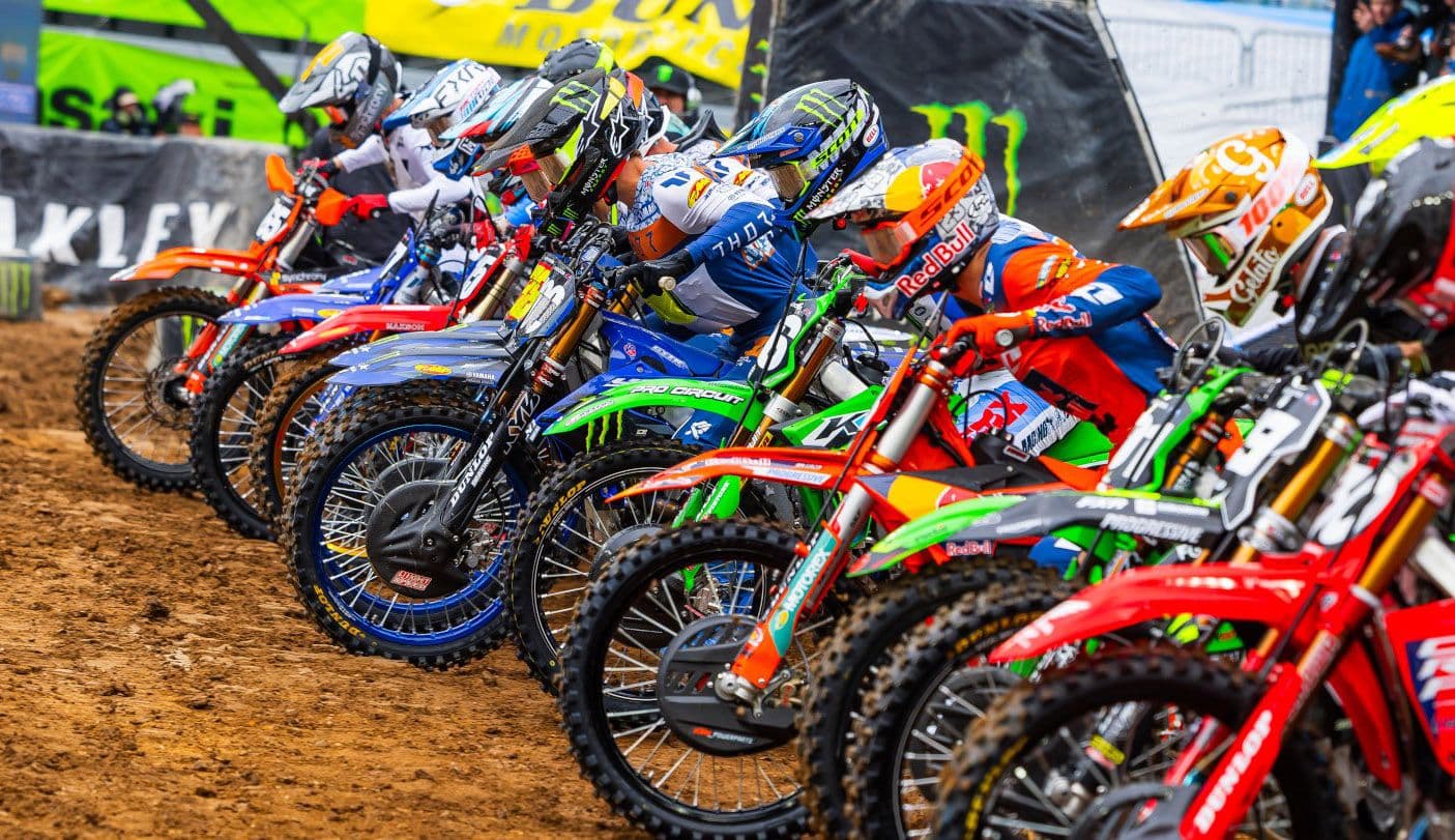 Cole Davies - The Focus