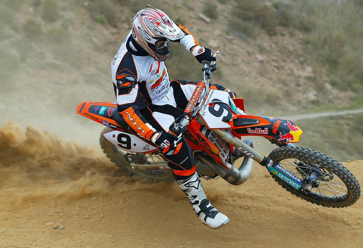 Searle and Dobb - World Vets