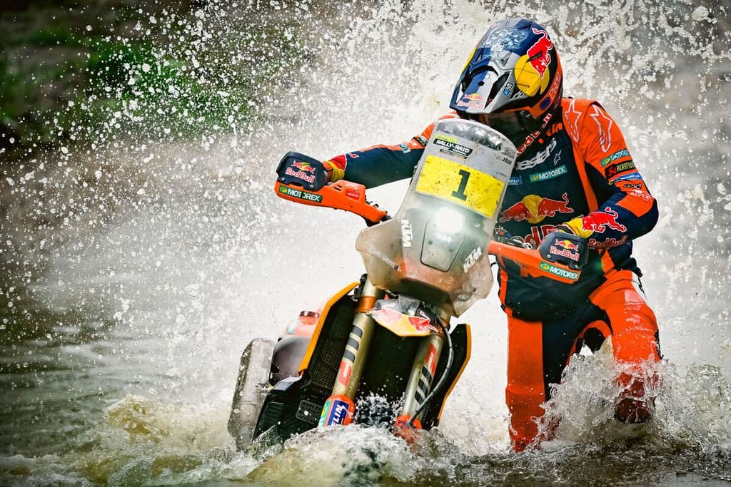 Sanders Wins in Portugal image