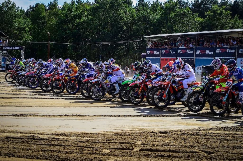 Lommel - Interviews image