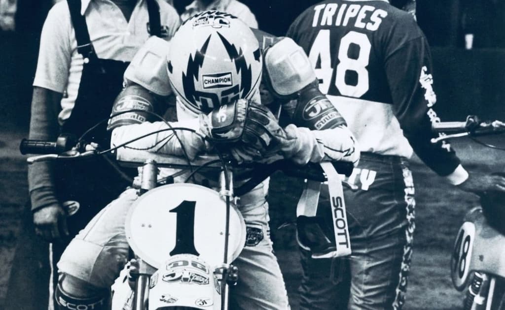 Hannah and Houston - 1978 image