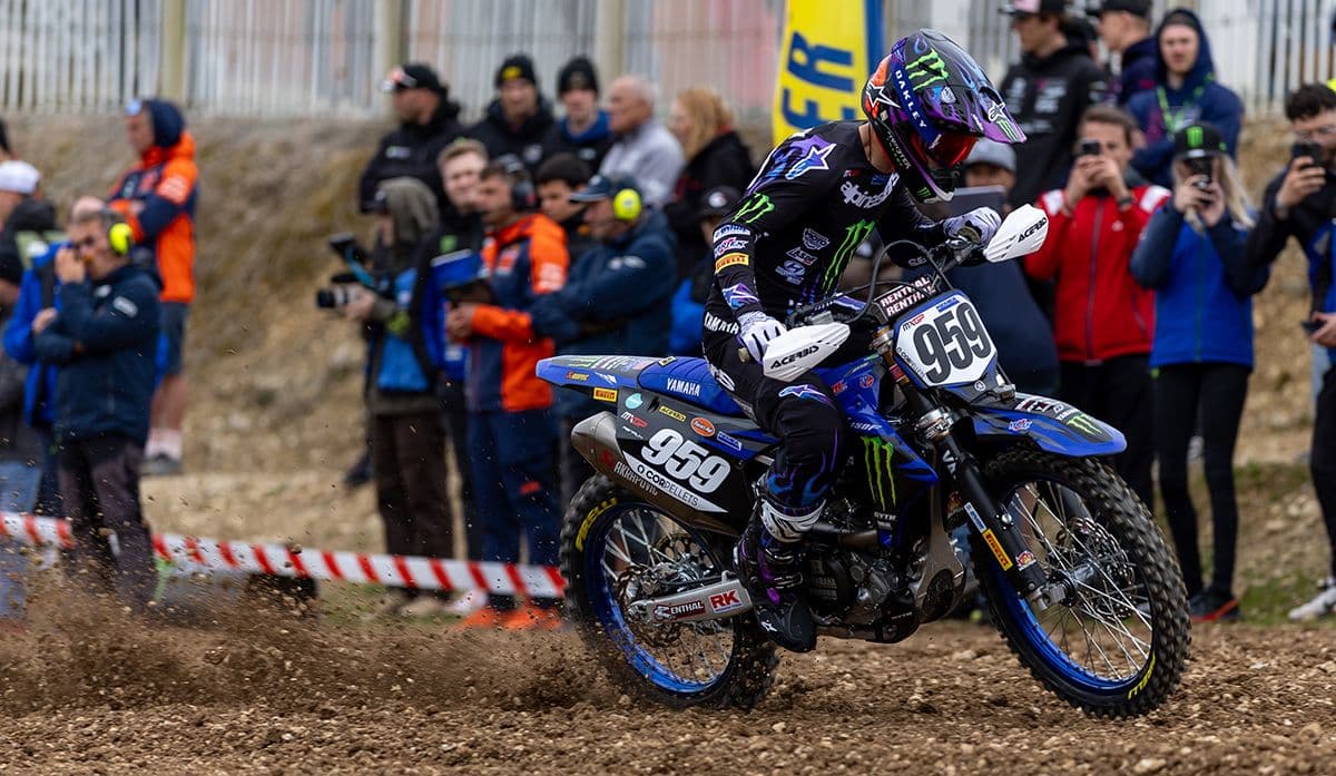 Renaux Out of Portugal