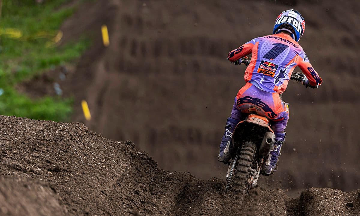 Langenfelder on Pole - France image