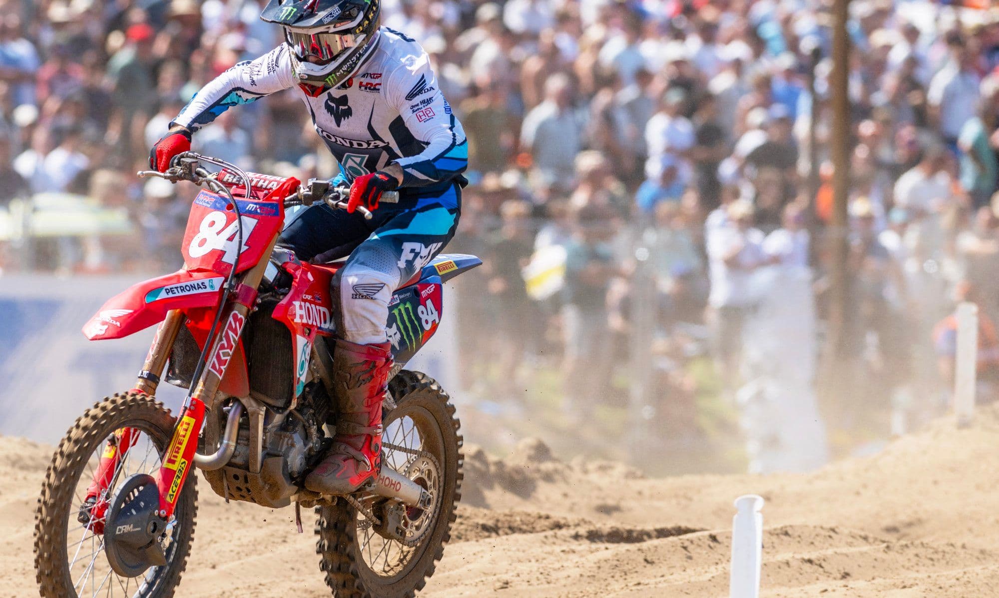 Herlings - Sweden and Points Leads