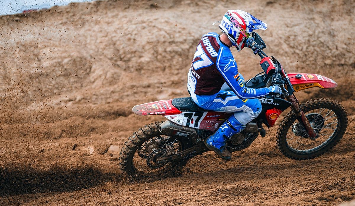 Lupino Wins in Italy image