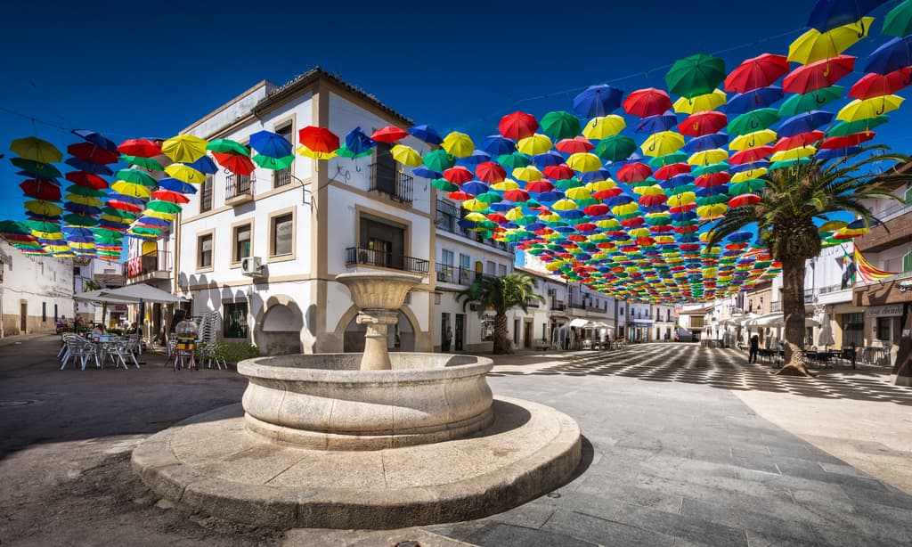 Spanish Champs - Live Stream image