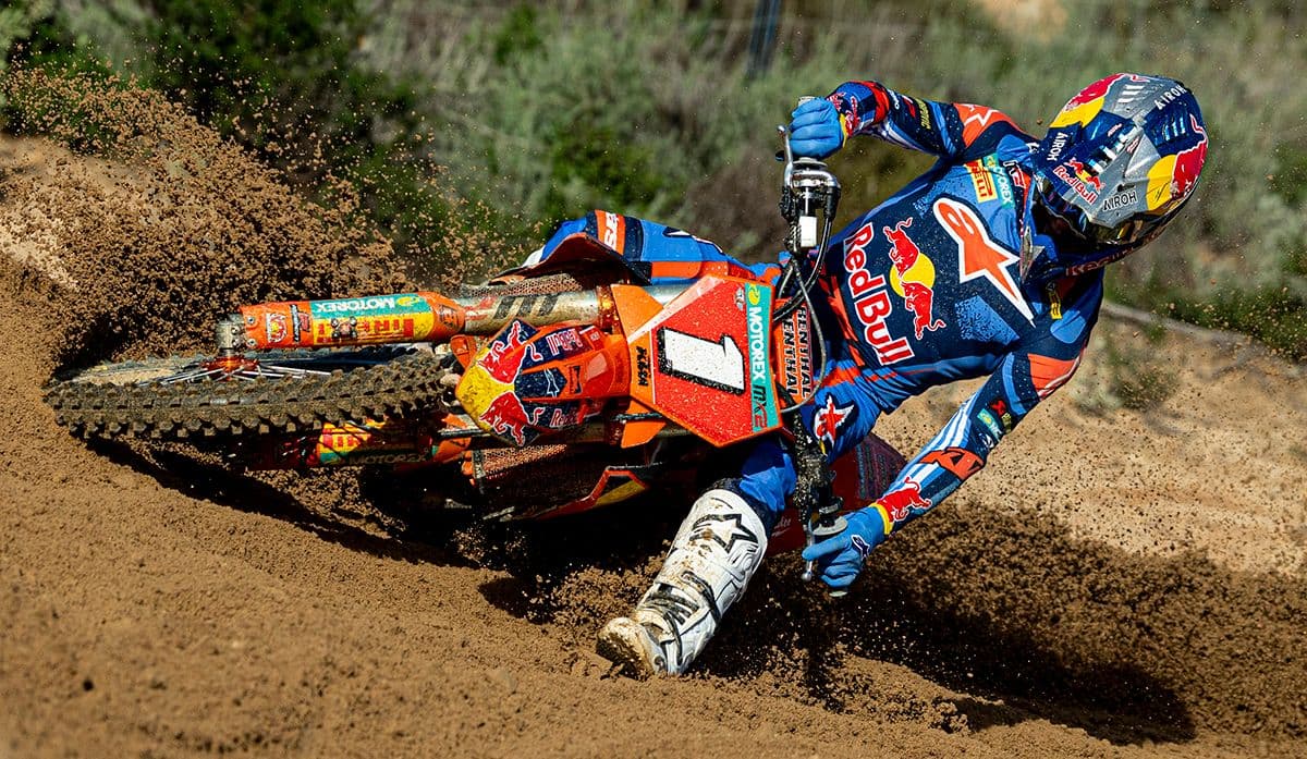 Langenfelder - The Champion