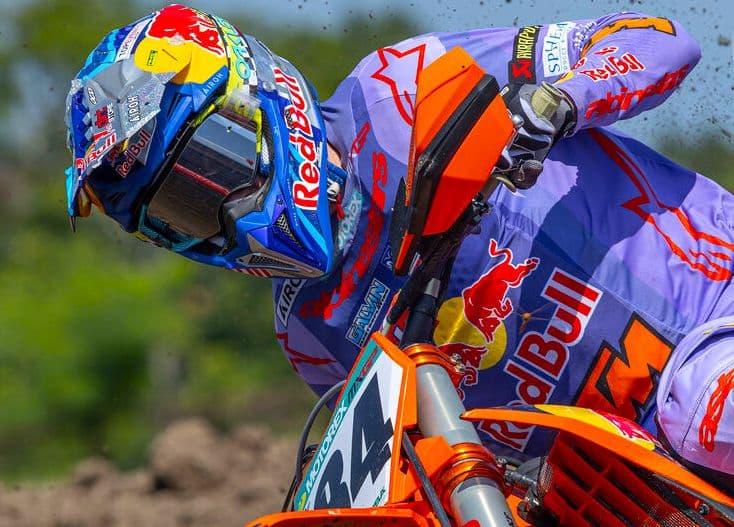 Herlings Quick Early - Lommel