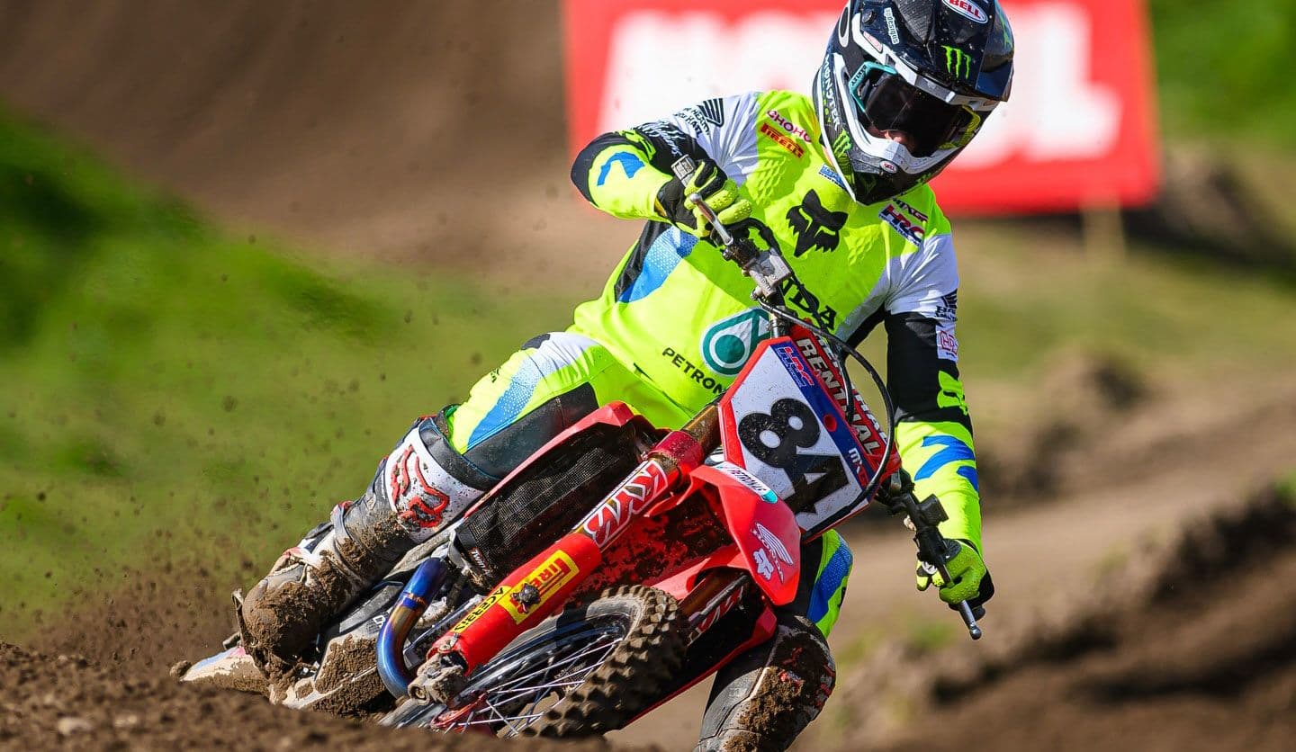 Dutch Masters - Live