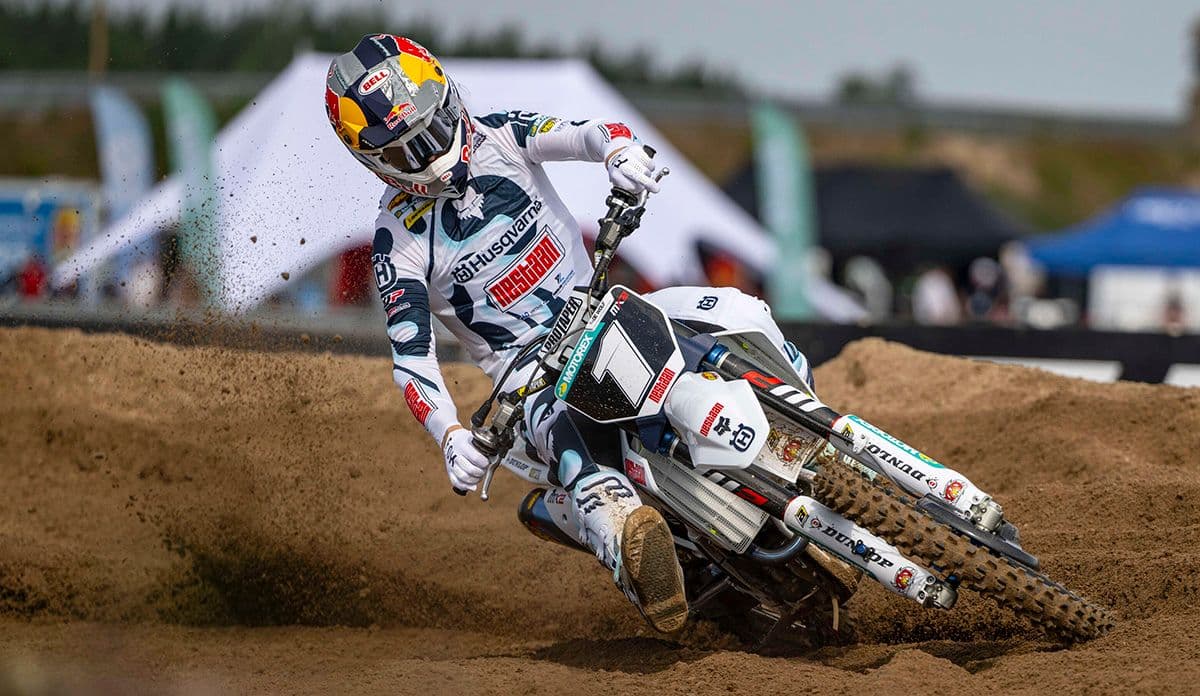 De Wolf On Pole - Arnhem