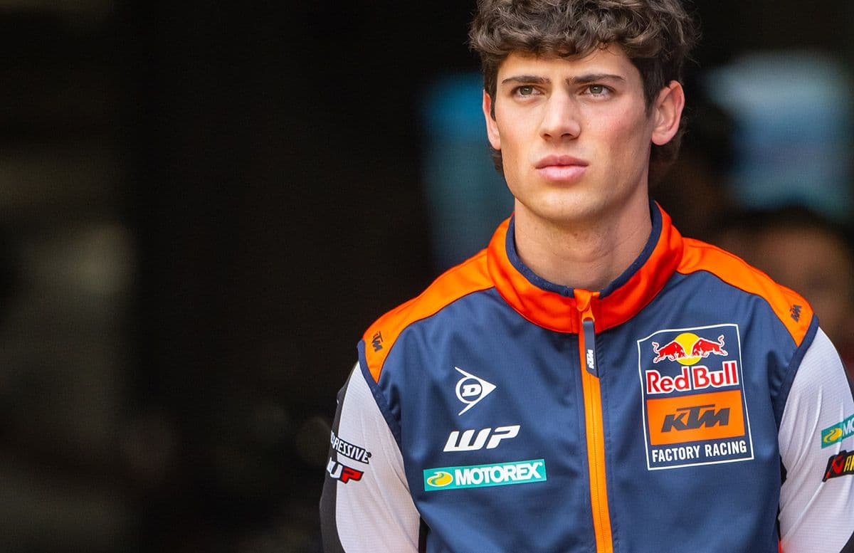 Jorge Prado - Gallery