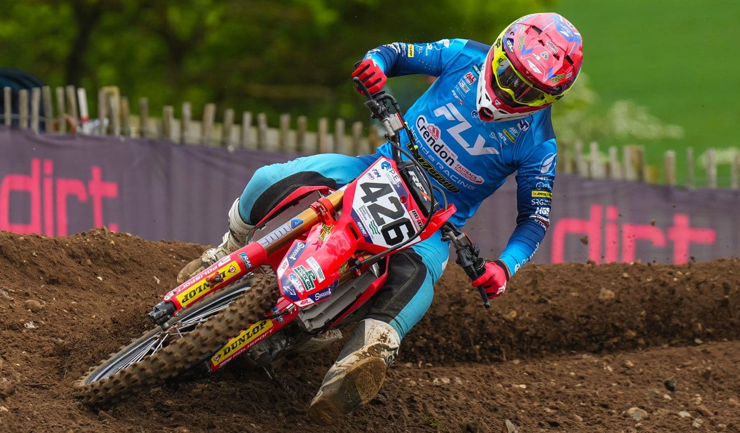 Mewse at Lyng - Consistent image