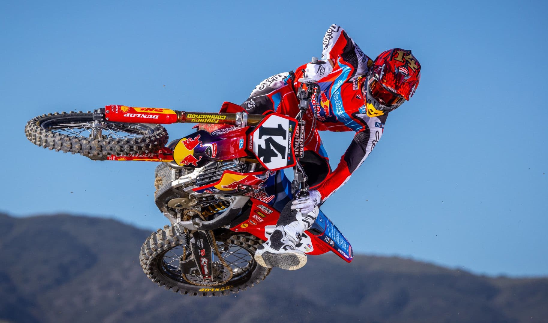 Ferrandis and Barcia - Gallery image