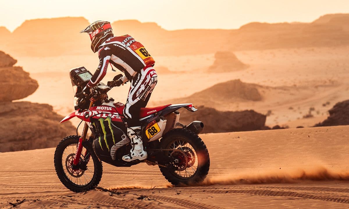 Schareina - Back To Back image