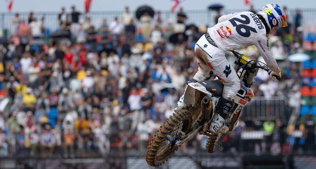 Everts On Pole in Darwin image