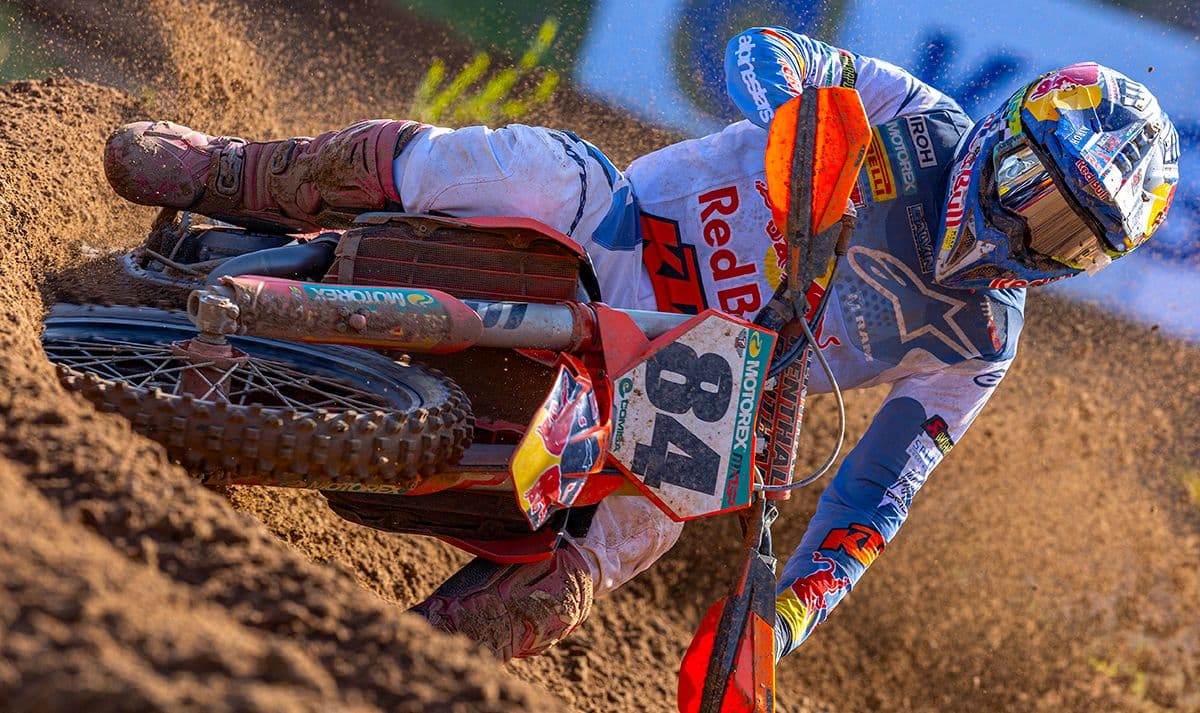 King Of Latvia - Herlings