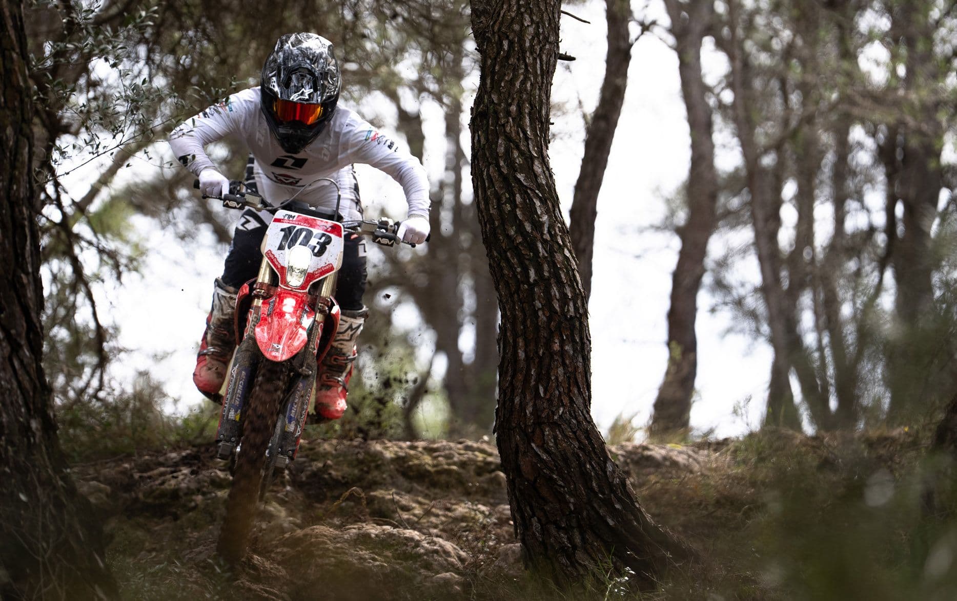Stark and World Enduro GP