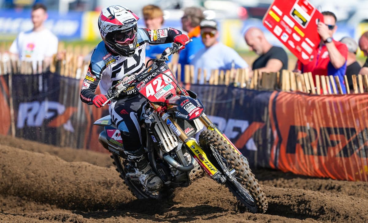 Mewse Majestic in England