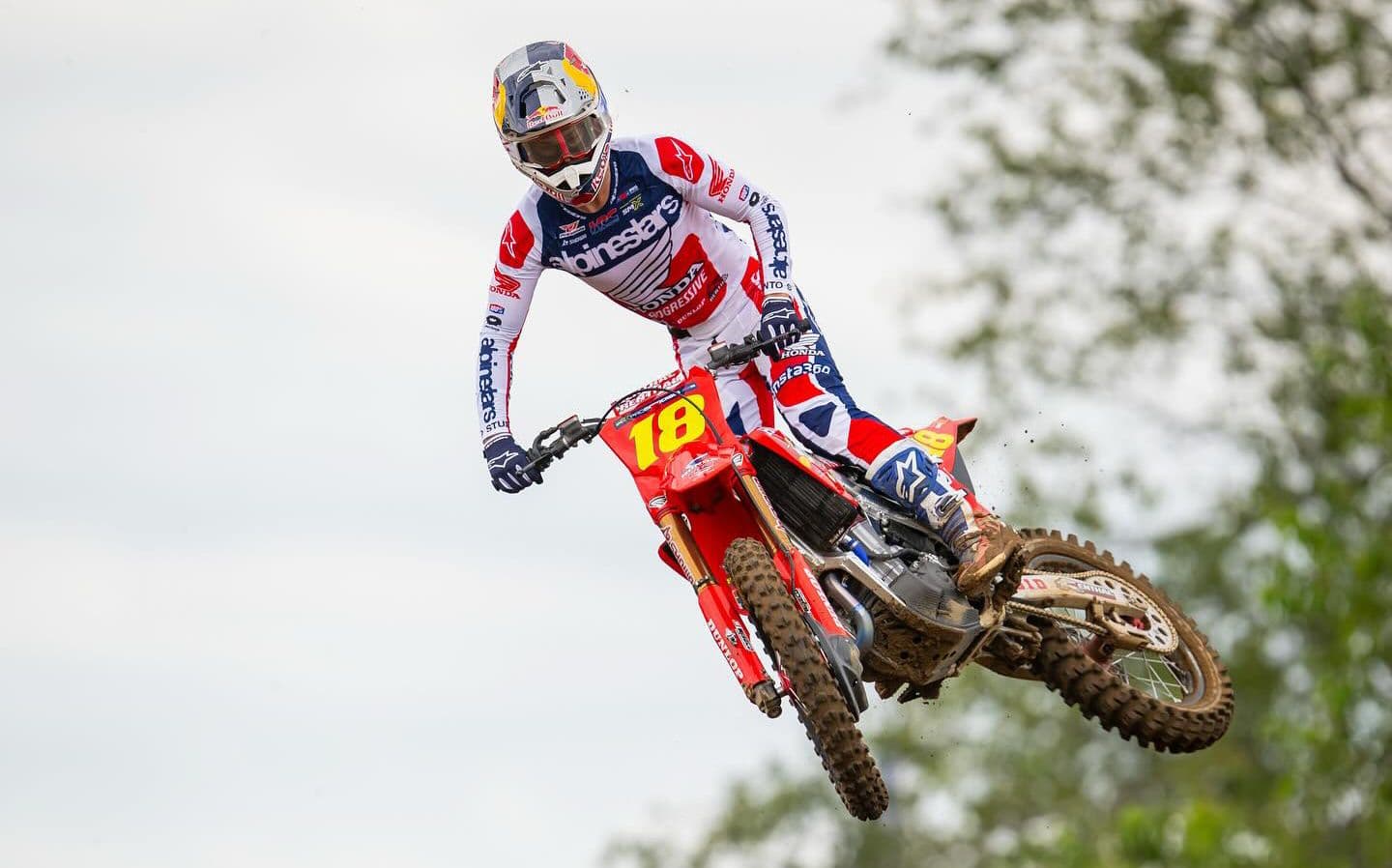 Lawrence - Destroys Redbud