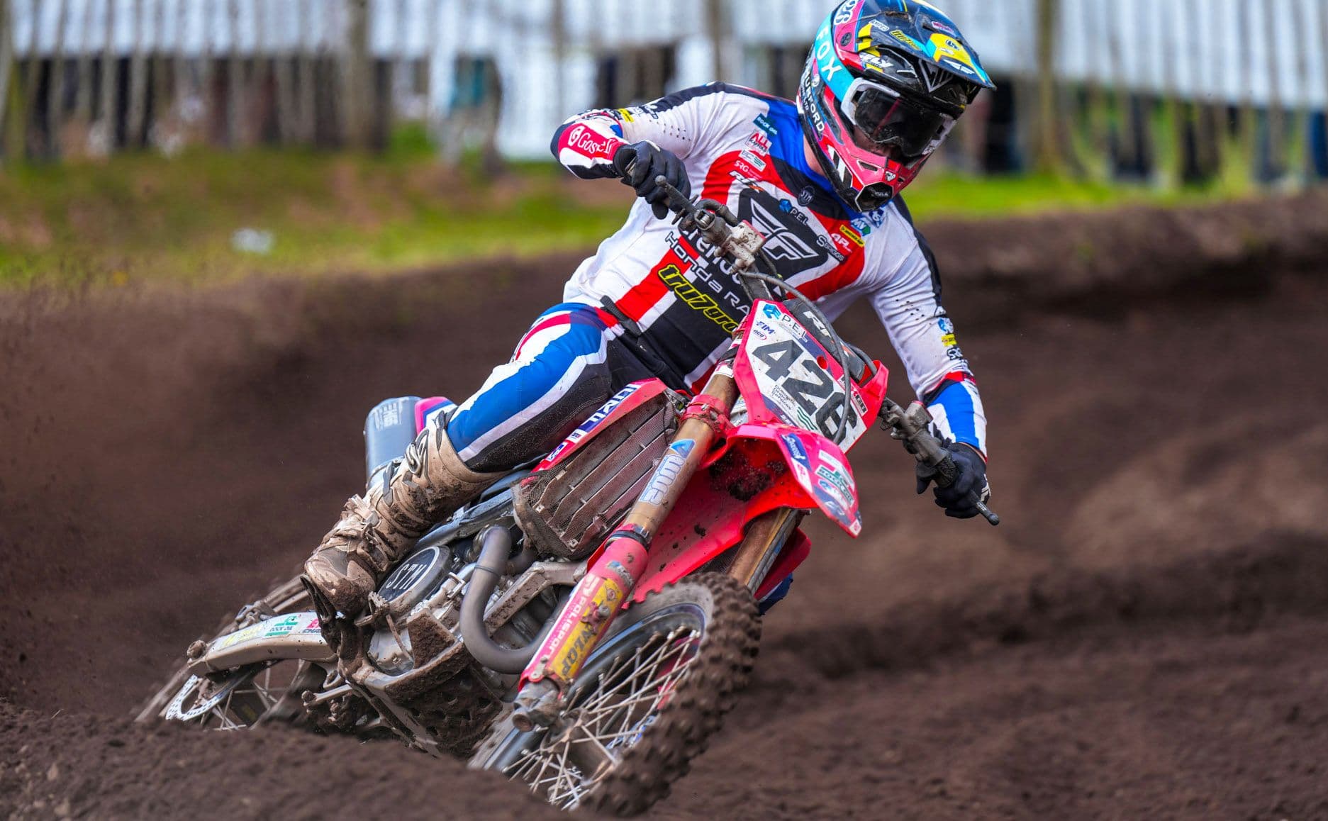 Mewse The Master In UK